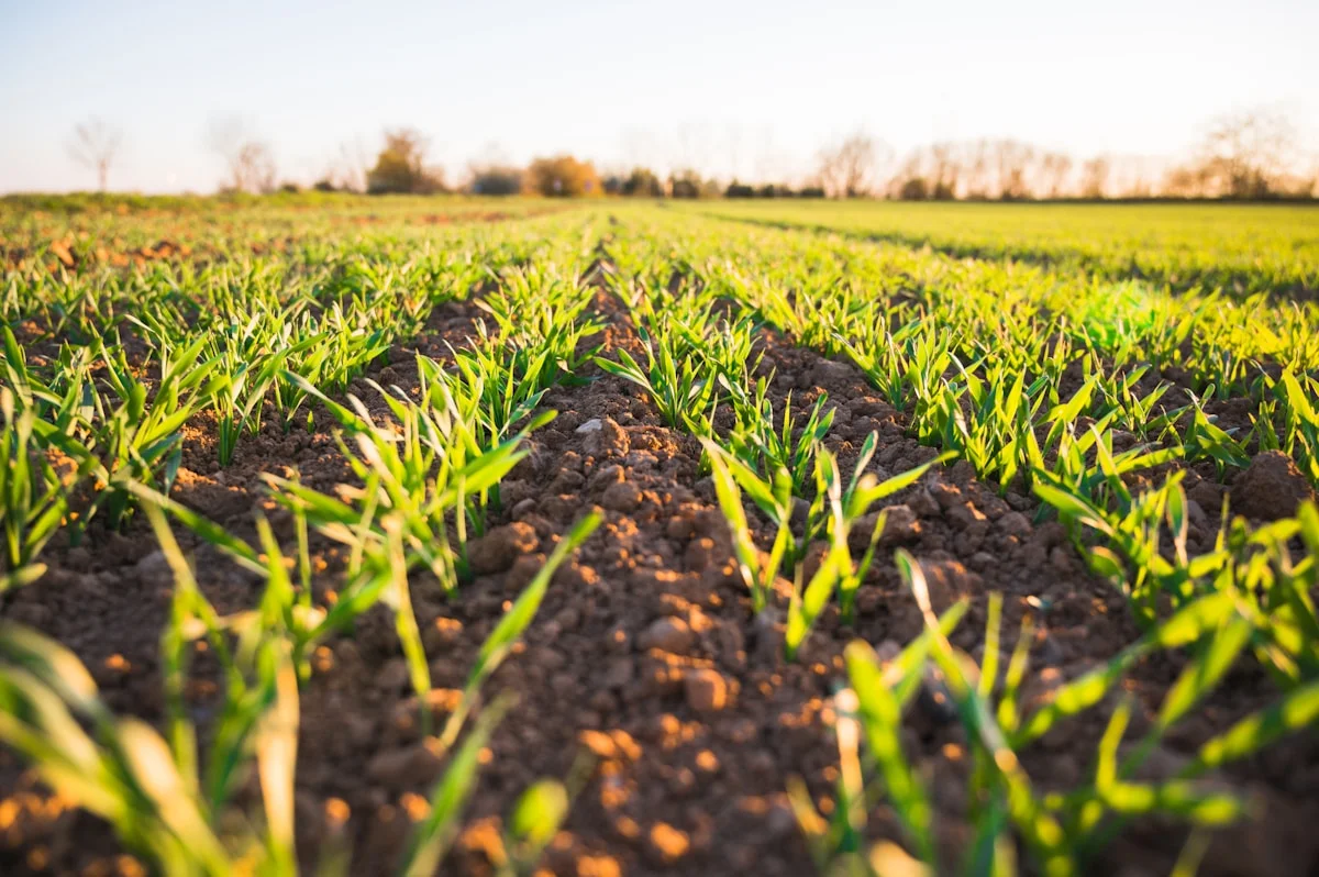 AgTech Startup & Precision Agriculture Web Design: Scalable SaaS Platforms for Farm Automation