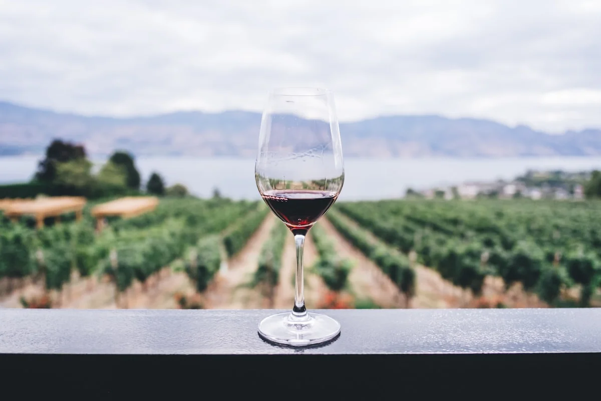 Winery & Vineyard E-Commerce Web Design: Scaling High-ROAS Direct-to-Consumer Wine Club Subscriptions